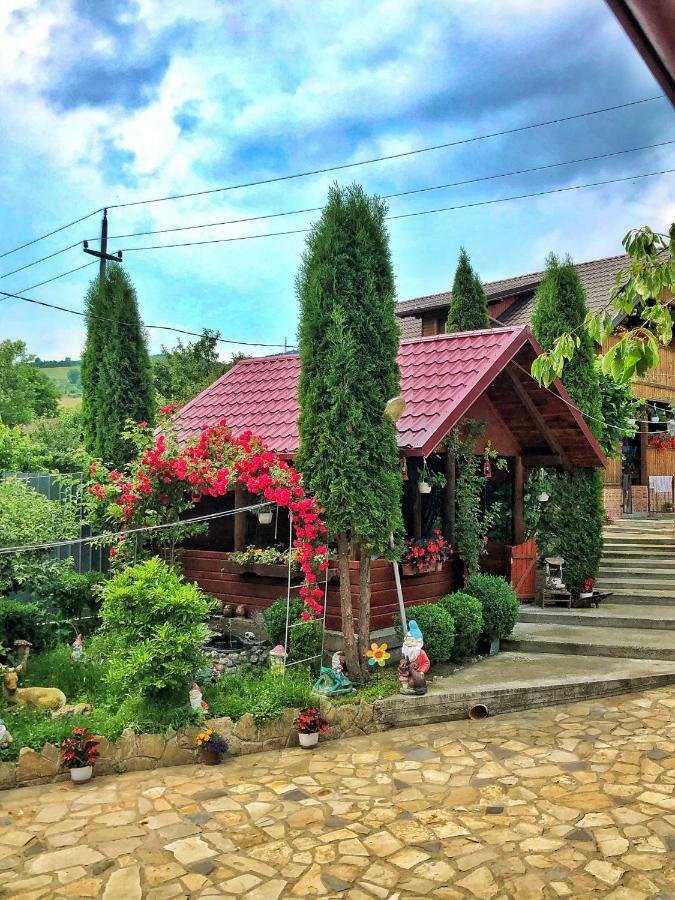 Отель Casa Boico Гура-Гуморулуй Экстерьер фото