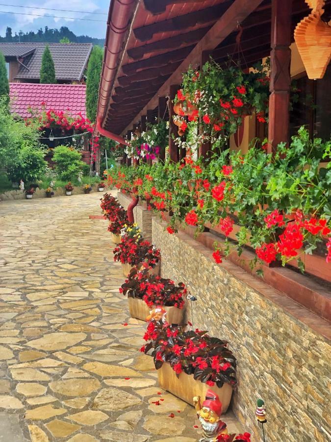 Отель Casa Boico Гура-Гуморулуй Экстерьер фото